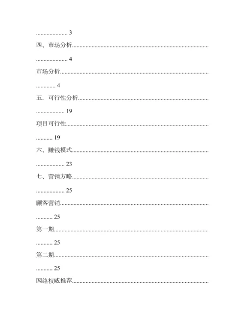 互联网公司创业综合计划书.docx