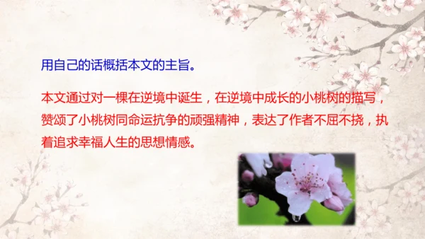 第19课 一棵小桃树 课件(共24张PPT)