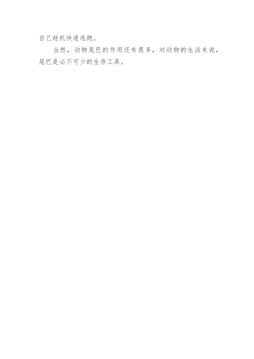 动物尾巴的作用说明文作文500字7篇.docx
