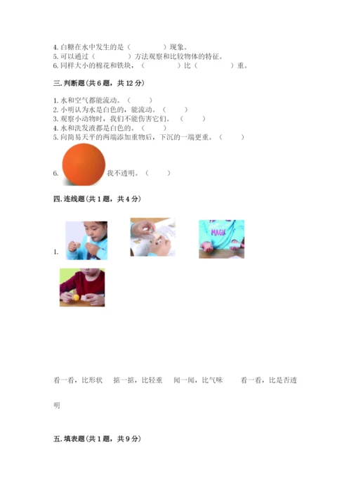 教科版小学科学一年级下册期末测试卷及参考答案（综合题）.docx