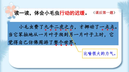 22.小毛虫（第二课时）教学课件