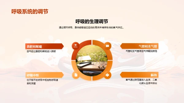 运动生理学全解析