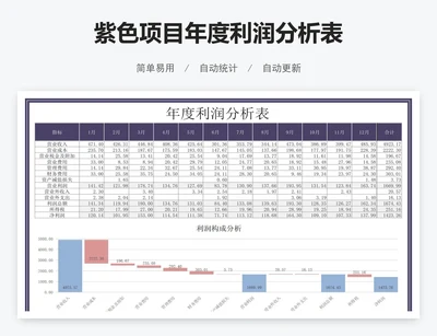 紫色项目年度利润分析表