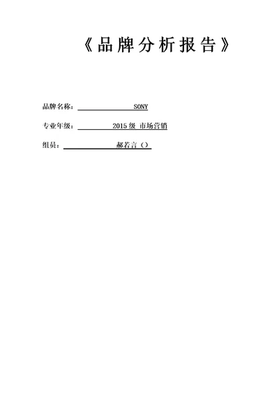 品牌分析报告