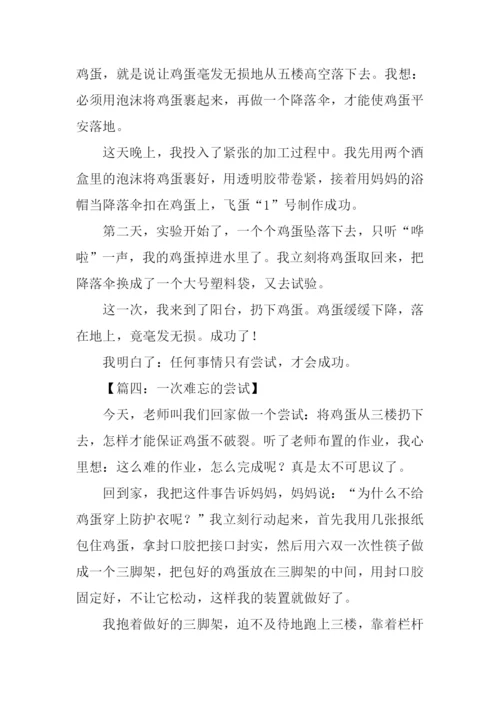 一次难忘的尝试作文300字.docx