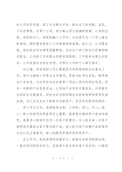 销售人员试用期总结报告.docx