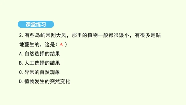 7.3.3生物进化的原因课件-人教版生物八年级下册(共37张PPT)
