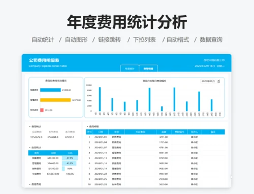 年度费用统计分析