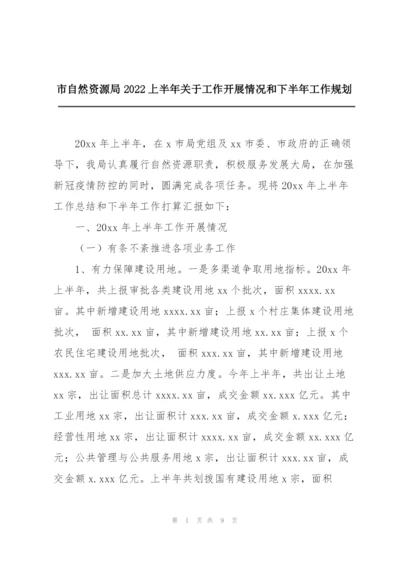 市自然资源局2022上半年关于工作开展情况和下半年工作规划.docx