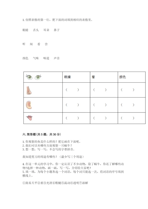 教科版小学科学一年级下册期末测试卷及参考答案（综合题）.docx