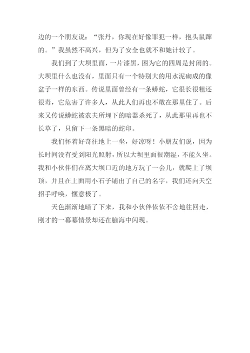 暑假里的新鲜事作文500字.docx