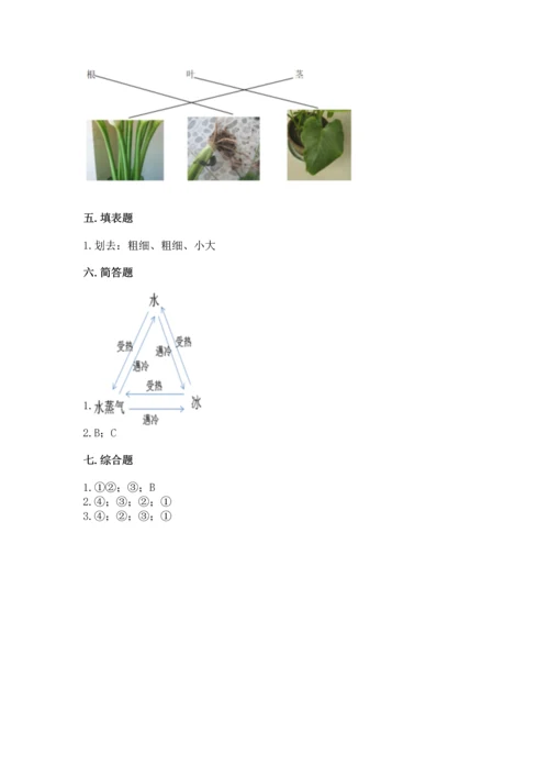 教科版科学一年级上册第一单元《植物》测试卷含完整答案【典优】.docx