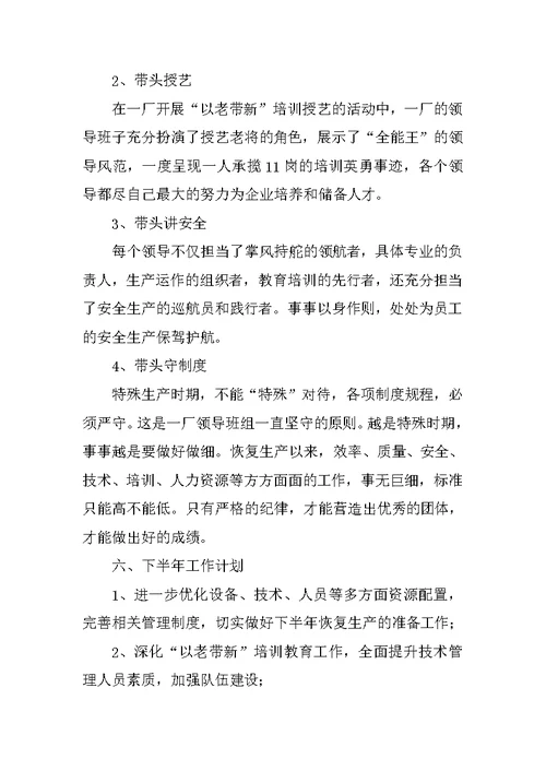 XX公司党支部20XX年上半年工作总结及下半年计划