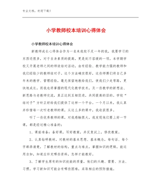 小学教师校本培训心得体会优选范文5篇.docx