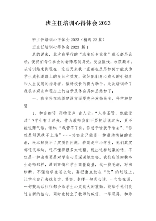 班主任培训心得体会2023.docx