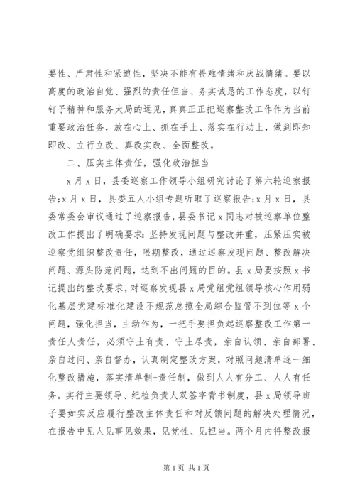 领导在巡察意见反馈会上的讲话(县级局).docx