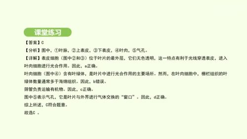 第三单元-第二章-第一节-水的利用与散失课件-2024-2025学年七年级生物下学期人教版(2024