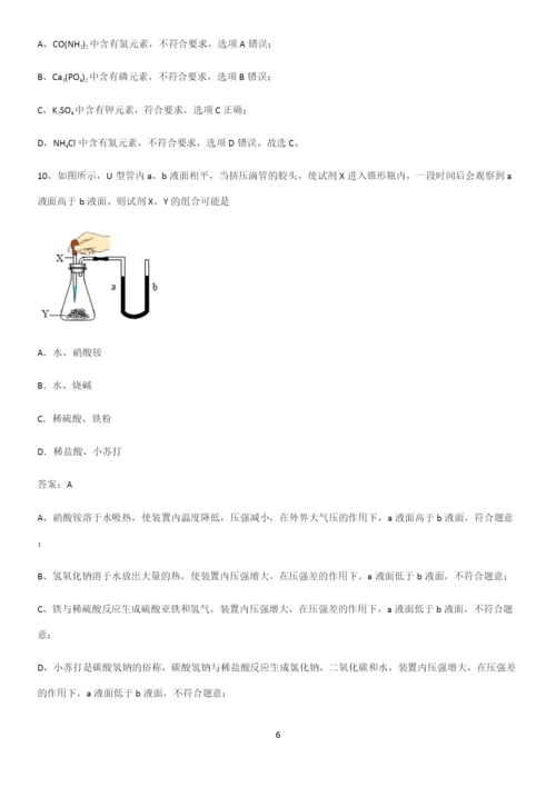 人教版2023初中化学九年级化学下册第十一单元盐化肥重点知识点大全.docx