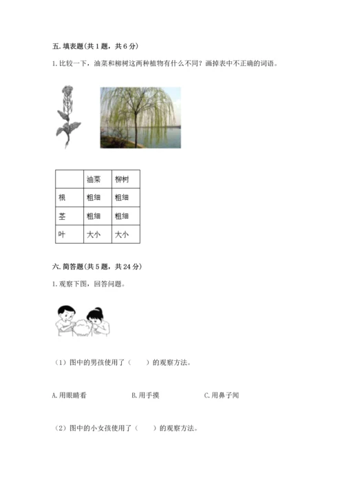 教科版科学一年级上册期末测试卷带答案下载.docx