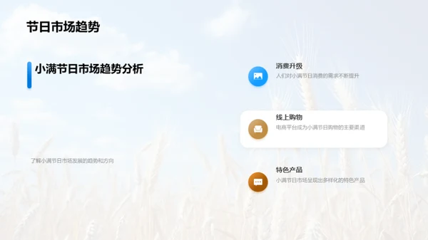 小满节日营销策略