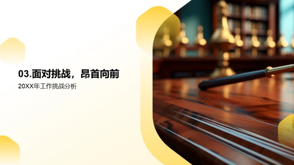 法律领域年度总结