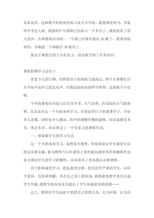 暑假假期学习总结3篇.docx