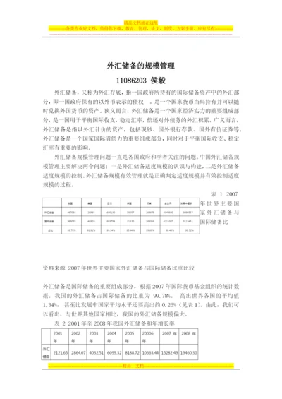 外汇储备的规模管理.docx