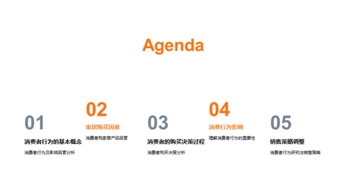 解密消费者购买行为