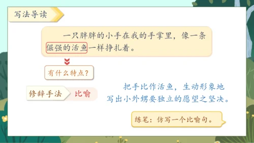 【核心素养】部编版语文四年级下册-20.我们家的男子汉（课件）