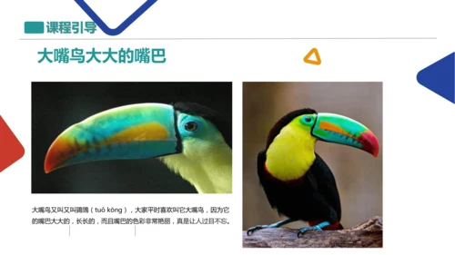 植物与动物
