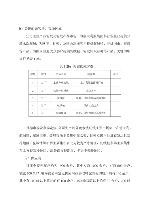 驼中王公司卓越绩效自评报告1.docx