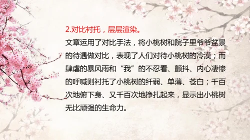 第19课 一棵小桃树 课件(共24张PPT)