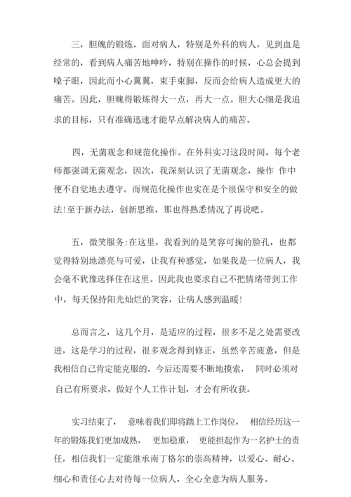 护士实习总结范文锦集九篇.docx