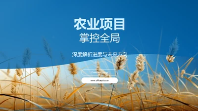 农业项目掌控全局