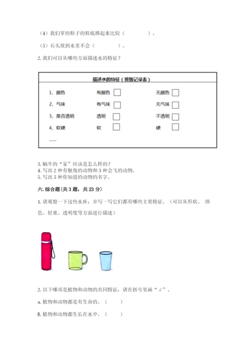 教科版一年级下册科学期末测试卷附完整答案【全国通用】.docx