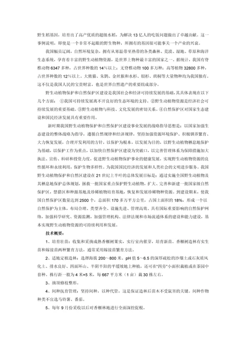 苗木香榧种植项目建议书.docx