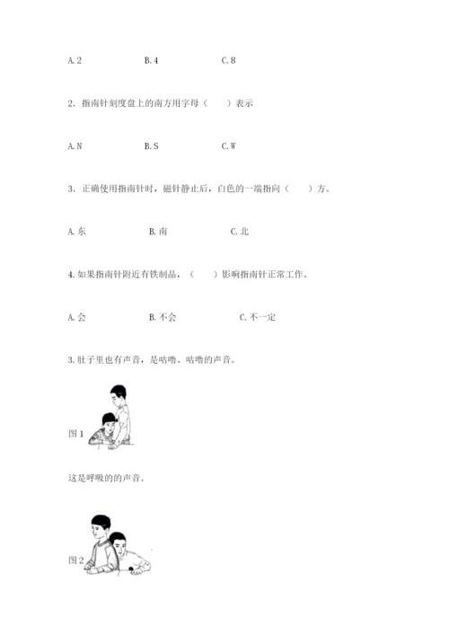 教科版小学科学二年级下册 期末测试卷（基础题）.docx