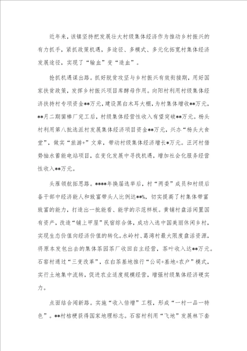 乡村振兴经验交流发言材料供借鉴