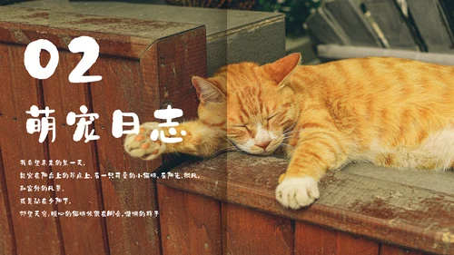 简约宠物萌宠画册电子相册通用PPT模板
