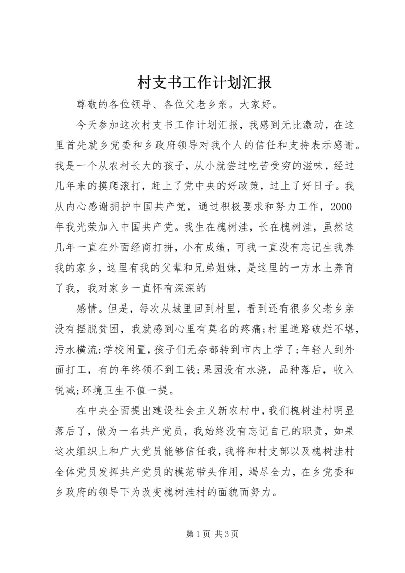 村支书工作计划汇报 (4).docx