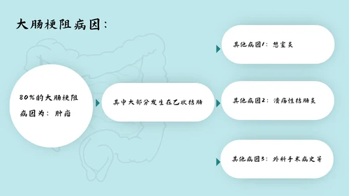 肠梗阻护理查房及案例分析PPT模板