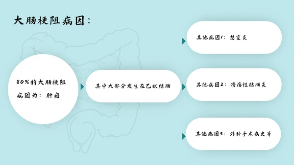 肠梗阻护理查房及案例分析PPT模板