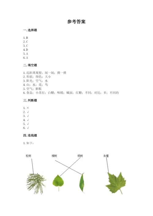 教科版科学一年级上册第一单元《植物》测试卷及答案一套.docx