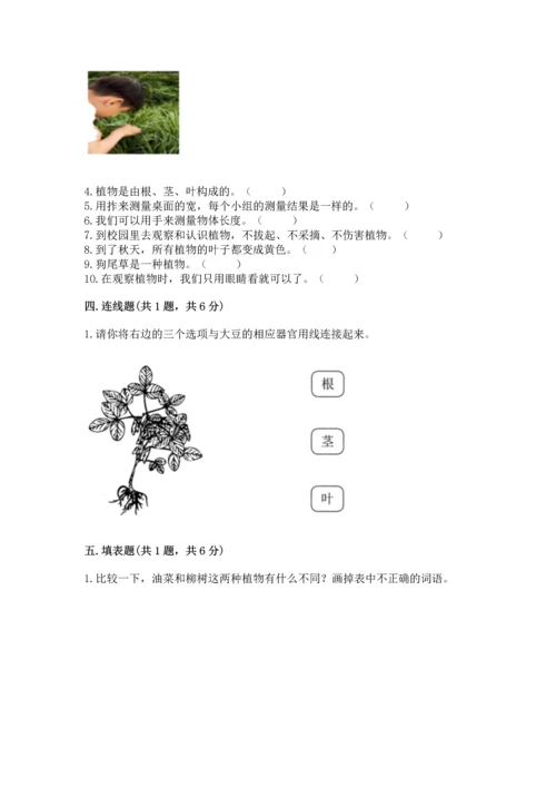 教科版一年级上册科学期末测试卷（轻巧夺冠）.docx