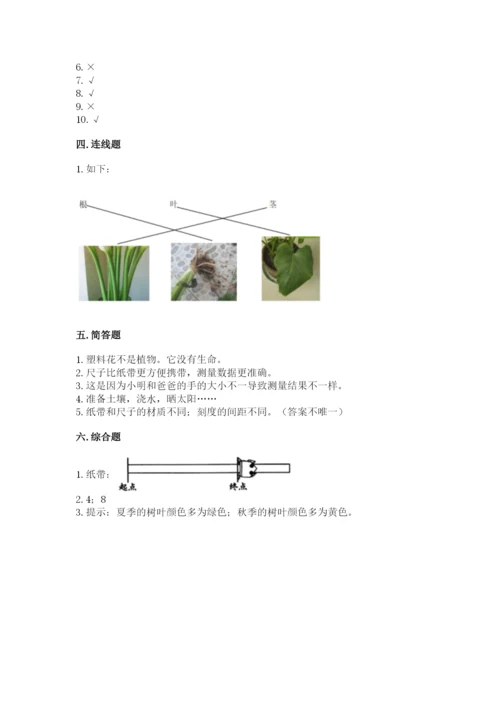教科版一年级上册科学期末测试卷附参考答案【综合卷】.docx