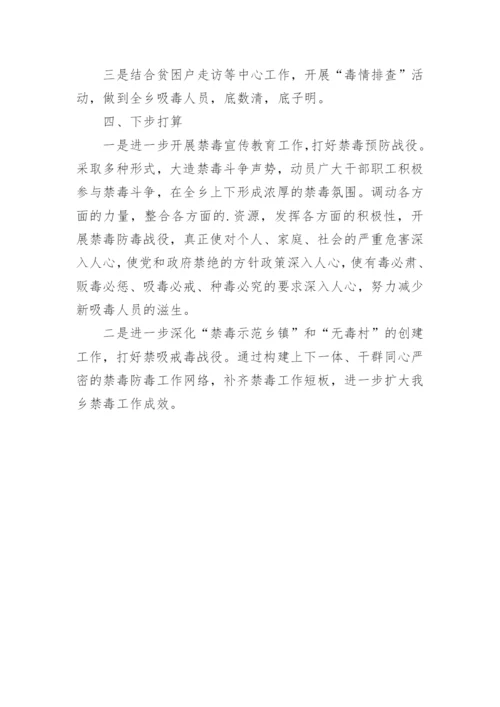 乡镇禁毒宣传活动总结.docx