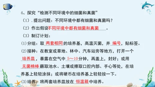 人教版八年级生物上册5.4《细菌和真菌》复习课件（含31张ppt）