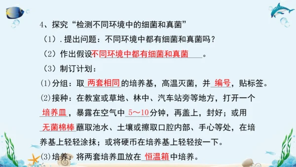 人教版八年级生物上册5.4《细菌和真菌》复习课件（含31张ppt）