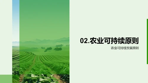 国潮风教育培训学术答辩PPT模板