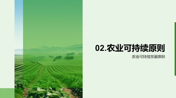 国潮风教育培训学术答辩PPT模板
